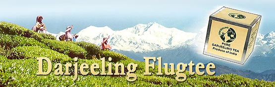 FLUGTEE 2013