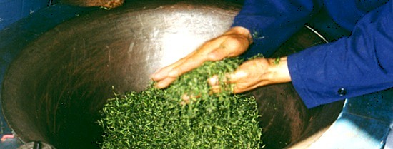 Grüner Tee aus China / Lung Ching high grade