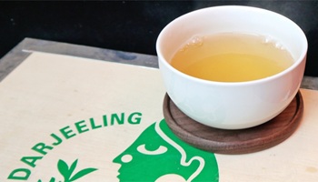 Darjeeling Tee-Aktion