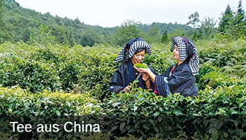 Grüner Tee aus China