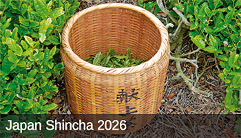 Japan Shincha 2026