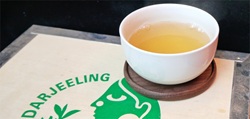 Darjeeling-Aktion