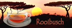 Rooibos