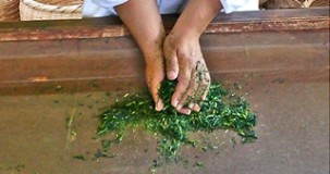 Japan Spezialitäten