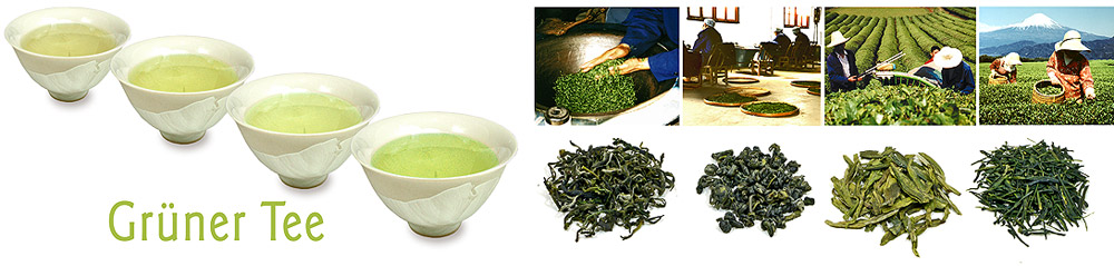 Grüner Tee