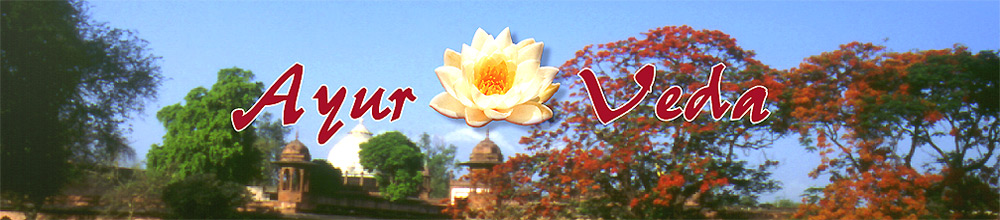 Ayur Veda Chai