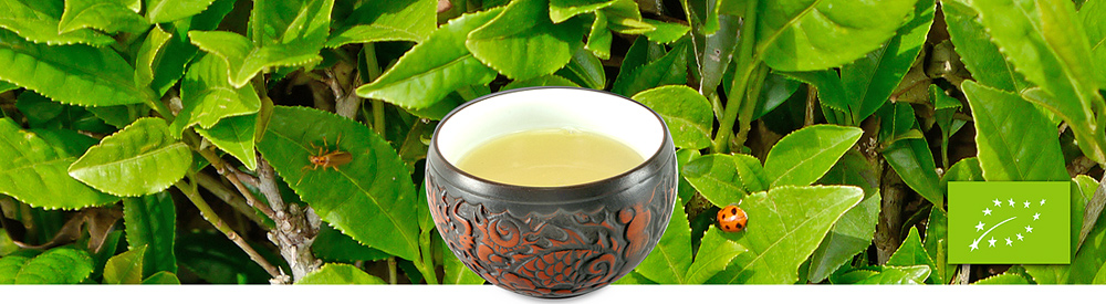 Bio-Oolong
