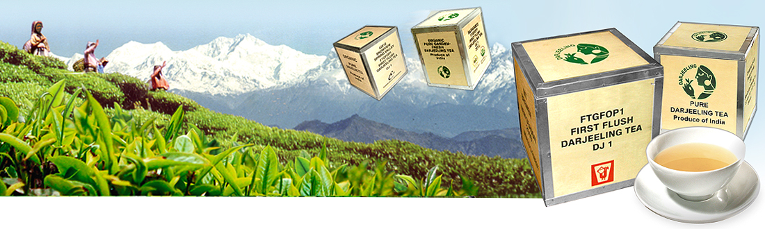 Darjeeling Flugtee