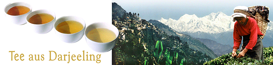 Darjeeling Raritäten