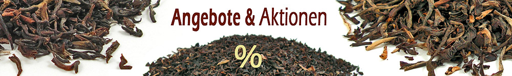 Angebote & Aktionen