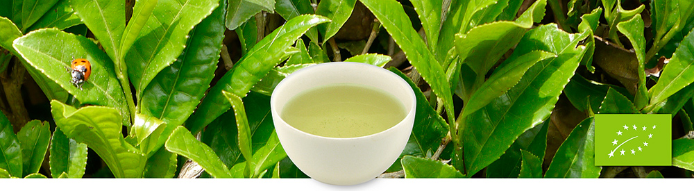 Bio-Grüntee