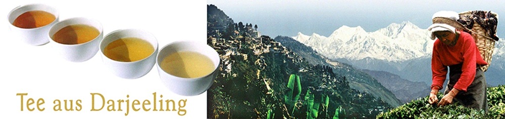 Darjeeling Raritäten