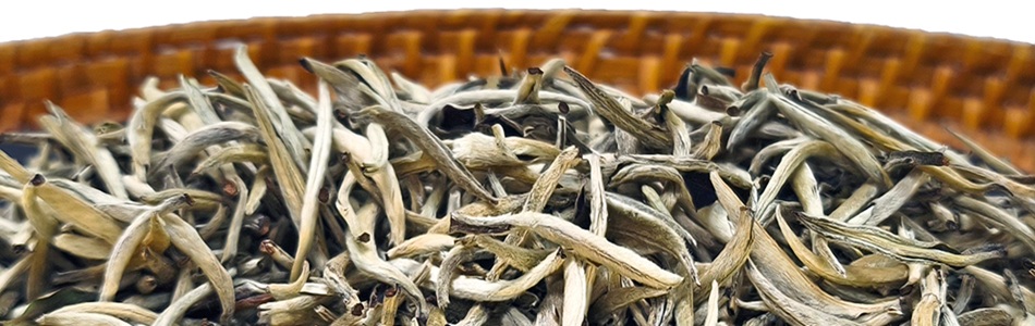 Weißer Tee