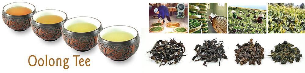 Oolong Tee