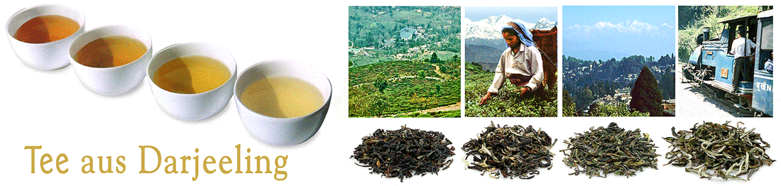 Darjeeling Tee