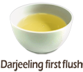 Darjeeling first flush