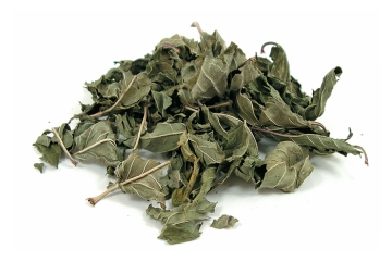 Pfefferminze 50g