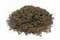 morepic-1