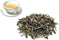 Darjeeling first-flush FTGFOP1 tippy-clonal Thurbo