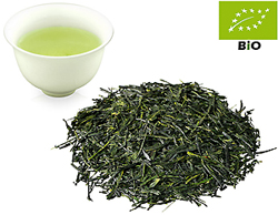 Japan Gyokuro kbA. Kirishima Saemidori