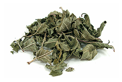 Pfefferminze 50g