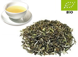 Flugtee-2026 Darjeeling first flush kbA. FTGFOP1 Singell Dj1