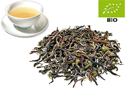 Flugtee-2026 Darjeeling first flush kbA. FTGFOP1/cl  Phuguri Dj6