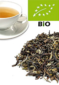 Darjeeling second flush Okayti Wonder kbA.