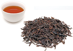 Java OP Malabar