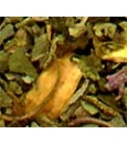 Tulsi Orange