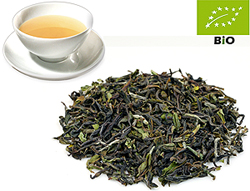 Darjeeling first flush kbA. SFTGFOP1 Steinthal