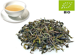Flugtee 2025 Darjeeling first flush kbA. FTGFOP1/cl Risheehat Ex32