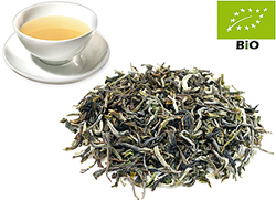 Flugtee-2024 Darjeeling first flush kbA. FTGFOP1 Barnesbeg Dj1