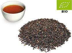 Ceylon-UVA BOP Idulgashena kbA 100g