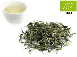 China White Downy kbA.