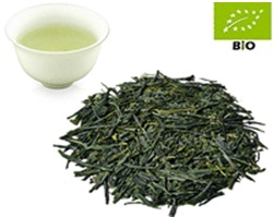 Shincha-2025 Japan Sencha kbA. Asanoka 100g