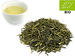 Japan Gabalong kbA. Kakegawa