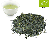 Japan Kabusecha kbA. Shibushi Asanoka