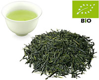 Shincha-2024 Japan Kabusecha kbA. Kirishima Meiryoku