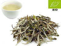 China Snow Buds kbA.