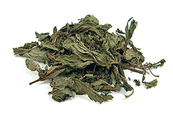 Nanaminze / Spearmint