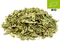 Bio Verbene kbA. 50g geschnitten