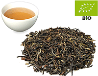 Nepal second flush TGFOP1 Kanchanjangha kbA.