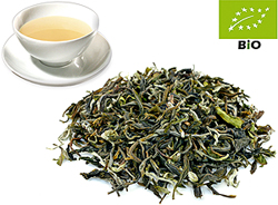 Darjeeling first-flush kbA. FTGFOP1/cl Phuguri