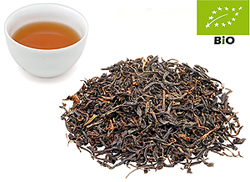 Azoren first flush kbA. OP Gorreana