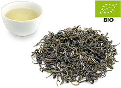 China Pi Lo Chun kbA.