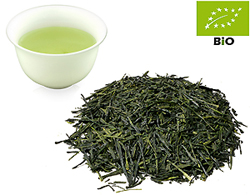 Japan Kabusecha kbA. Saeakari