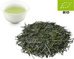 Shincha-2026 Japan Sencha kbA. Kagoshima Yabukita