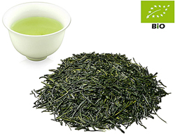 Shincha 2025 Japan Gyokuro kbA. Hioki Asanoka