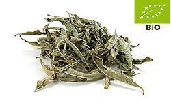 Bio-Zitronenverbene kbA.